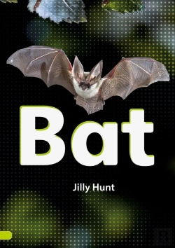 Bertrand.pt - Bat (Set 02)