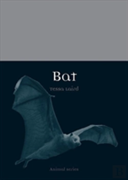 Bertrand.pt - Bat