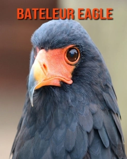 Bertrand.pt - Bateleur Eagle