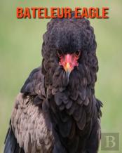 Bateleur Eagle