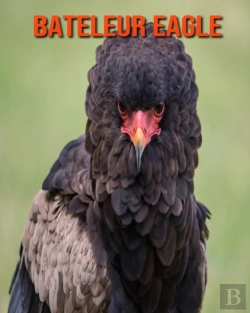 Bertrand.pt - Bateleur Eagle