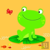 Bath Buddies: Frog