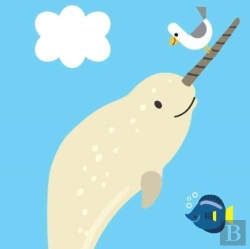 Bertrand.pt - Bath Buddies: Narwhal
