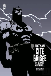 Batman Cite Brisee
