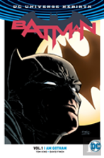 Batman Vol. 1: I Am Gotham (Rebirth)