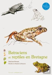 Batraciens Et Reptiles En Bretagne