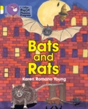 Bats And Rats