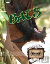 Bats
