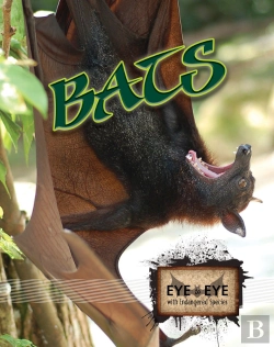 Bertrand.pt - Bats