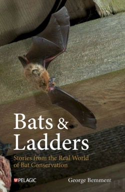 Bertrand.pt - Bats & Ladders
