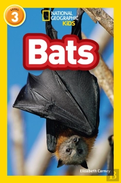 Bertrand.pt - Bats