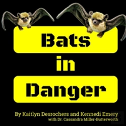 Bertrand.pt - Bats In Danger