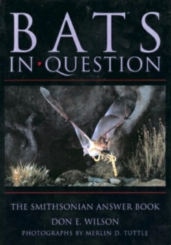 Bertrand.pt - Bats In Question