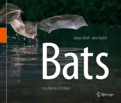 Bertrand.pt - Bats