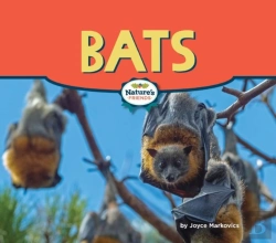 Bertrand.pt - Bats