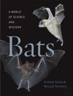 Bertrand.pt - Bats