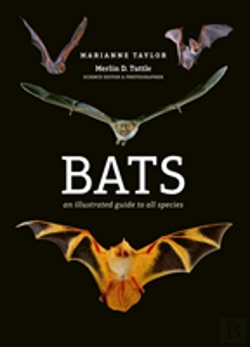 Bertrand.pt - Bats