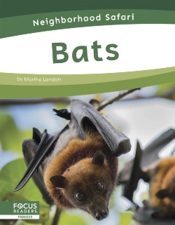 Bertrand.pt - Bats