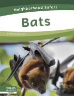 Bats