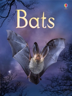 Bertrand.pt - Bats