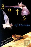 Bats Of Florida