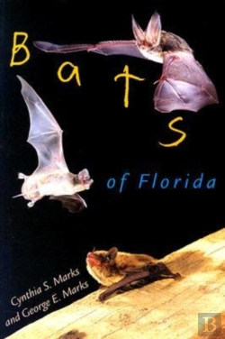 Bertrand.pt - Bats Of Florida