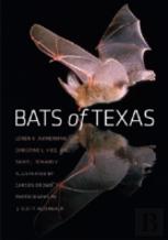 Bats Of Texas