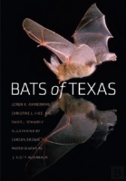 Bertrand.pt - Bats Of Texas