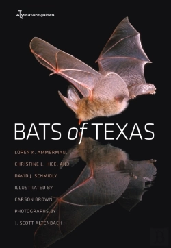 Bertrand.pt - Bats Of Texas