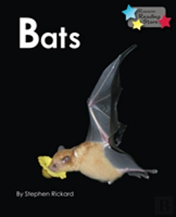 Bertrand.pt - Bats
