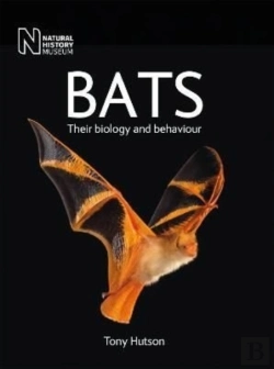 Bertrand.pt - Bats