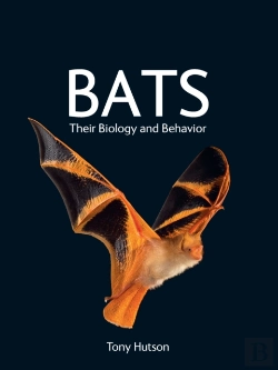 Bertrand.pt - Bats