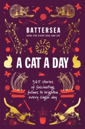 Battersea Dogs And Cats Home - A Cat A Day