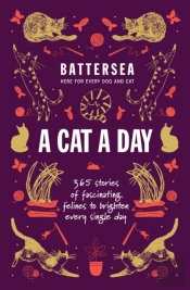 Battersea Dogs And Cats Home - A Cat A Day