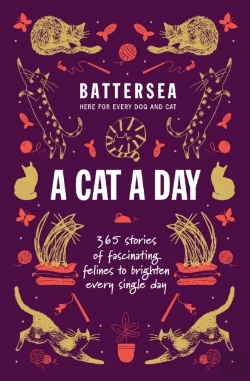 Bertrand.pt - Battersea Dogs And Cats Home - A Cat A Day