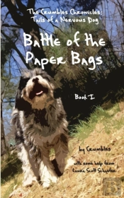 Battle Of The Paper Bags