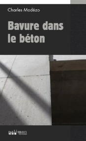 Bavure Dans Le Béton