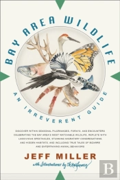 Bay Area Wildlife