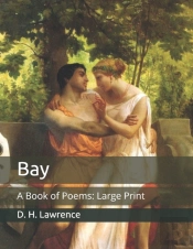 Bay
