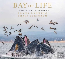 Bertrand.pt - Bay Of Life