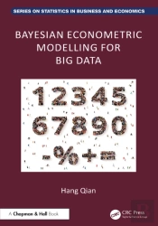 Bayesian Econometric Modelling For Big Data