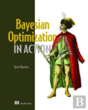 Bayesian Optimization In Action