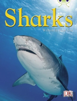Bertrand.pt - Bc Nf Blue (Ks2) B/4a Sharks
