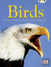 Bc Nf Grey B/4c Birds