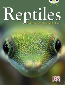 Bertrand.pt - Bc Nf Red (Ks2) B/5b Reptiles