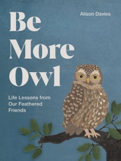 Bertrand.pt - Be More Owl