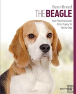 Bertrand.pt - Beagle