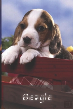 Bertrand.pt - Beagle