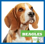 Beagles
