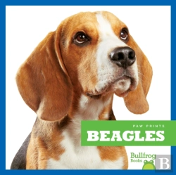 Bertrand.pt - Beagles